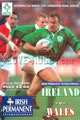 Ireland v Wales 1996 rugby  Programme