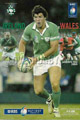 Ireland v Wales 2004 rugby  Programme