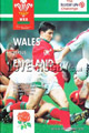 Wales v England 1995 rugby  Programme