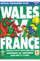 Wales v France 1996 rugby  Programme