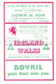 Wales v Ireland 1949 rugby  Programmes
