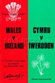 Wales v Ireland 1979 rugby  Programme