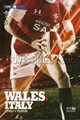 Wales v Italy 2010 rugby  Programmes