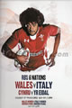 Wales v Italy 2012 rugby  Programme