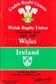 Wales 1981 memorabilia