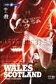 Wales 2010 memorabilia